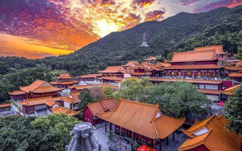 鈍感力是治愈生活的良藥